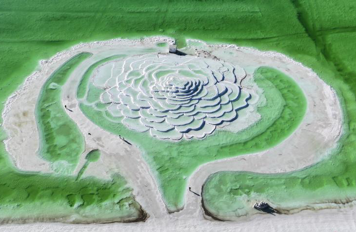 ????? ??????? ??????? ????? ?????? ????????