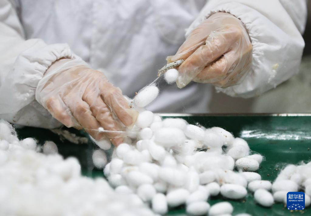 ???????? ?????: ??????? ????? ???? ???????? ?????? ???? ????