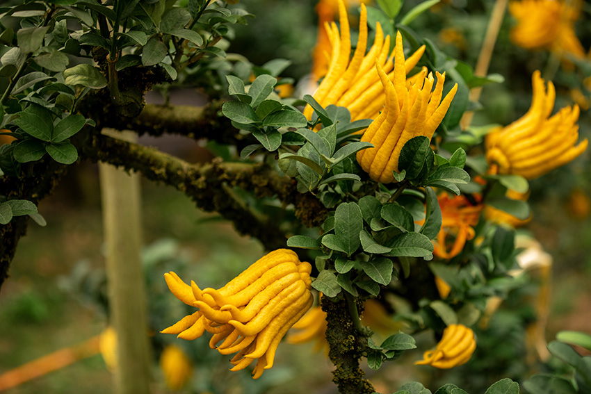 ?????? ??????? ?????? ?? ??? ?????? ????? ?? ????