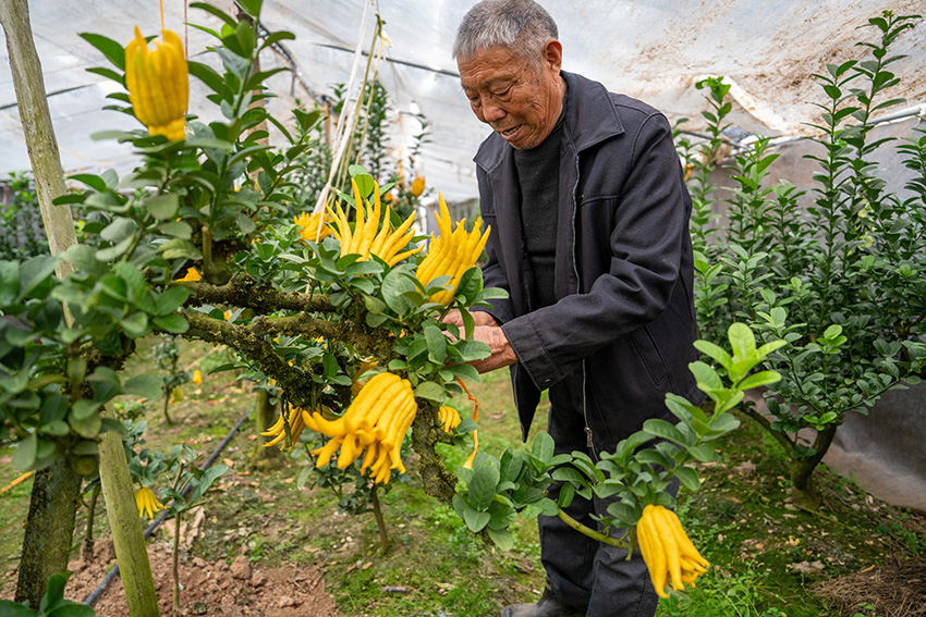 ?????? ??????? ?????? ?? ??? ?????? ????? ?? ????