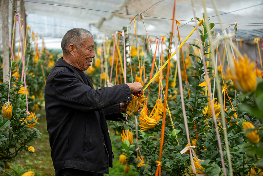 ?????? ??????? ?????? ?? ??? ?????? ????? ?? ????