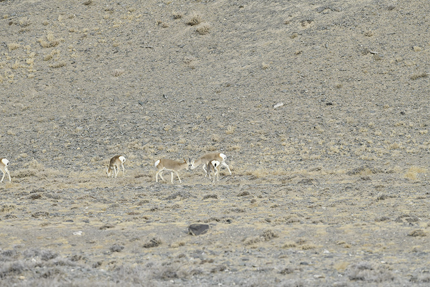 ??????? ?????? ?? ????? ???? ?????? ????????? ???? ?? ????? ??????