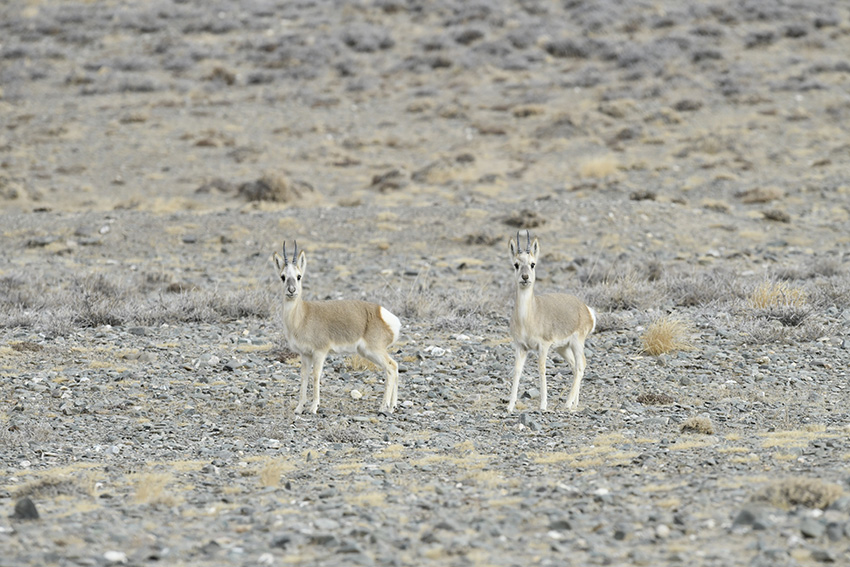 ??????? ?????? ?? ????? ???? ?????? ????????? ???? ?? ????? ??????