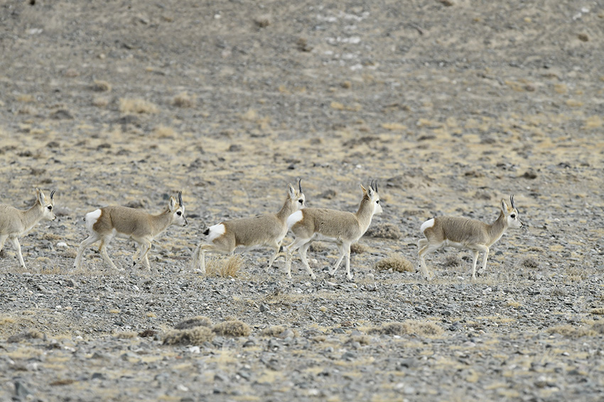 ??????? ?????? ?? ????? ???? ?????? ????????? ???? ?? ????? ??????