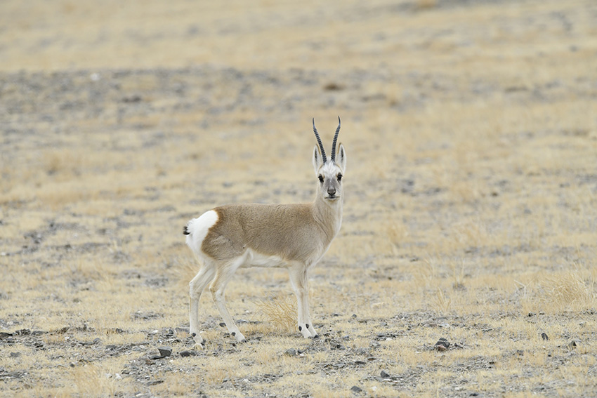 ??????? ?????? ?? ????? ???? ?????? ????????? ???? ?? ????? ??????