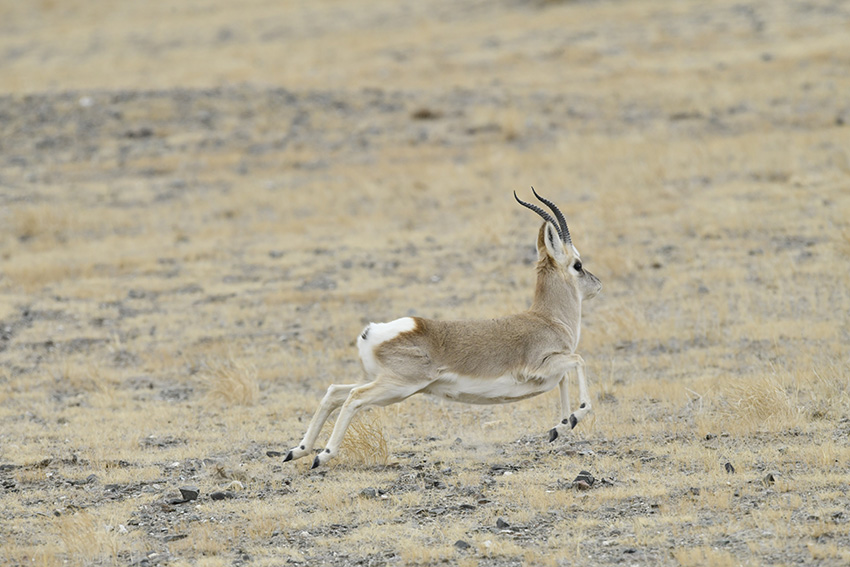 ??????? ?????? ?? ????? ???? ?????? ????????? ???? ?? ????? ??????