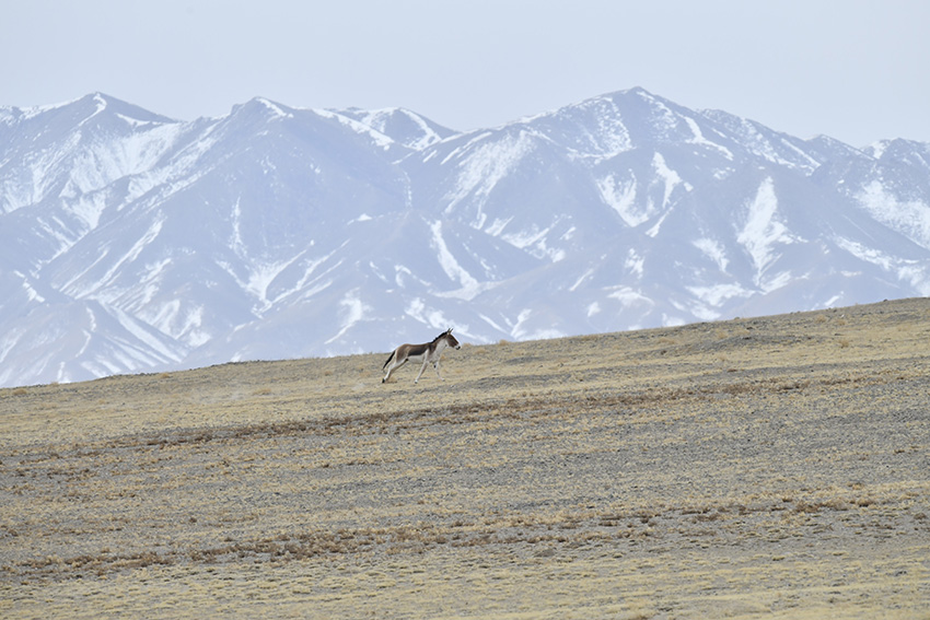 ??????? ?????? ?? ????? ???? ?????? ????????? ???? ?? ????? ??????