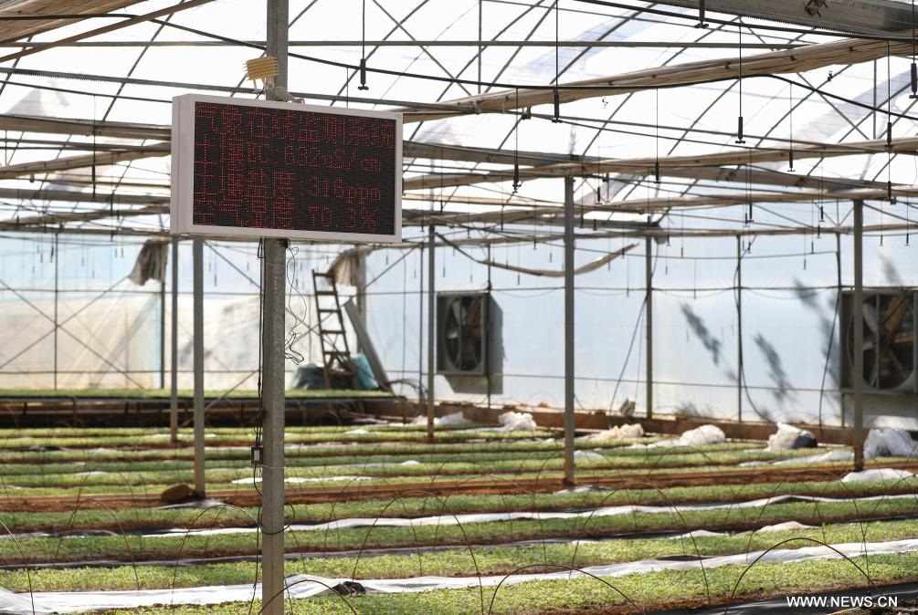 ????? ?????? ?? ????? ??? ?????