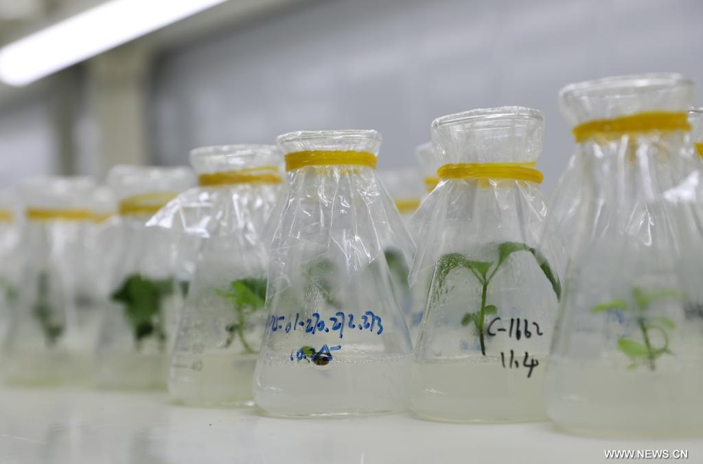 ????? ?????? ?? ????? ??? ?????