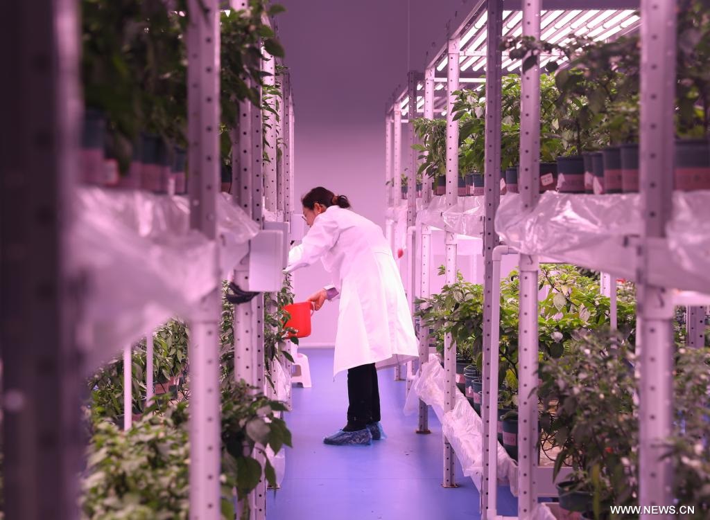 ????? ?????? ?? ????? ??? ?????