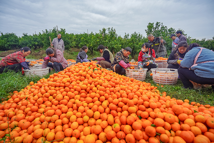 ?????? ???????: ???? ???????? ?????