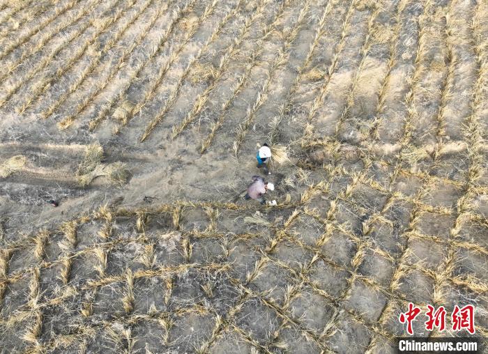 ??????? ???????? ???????? ???????? ???? ?????? ????? ???? ?????? ?? ?? ???