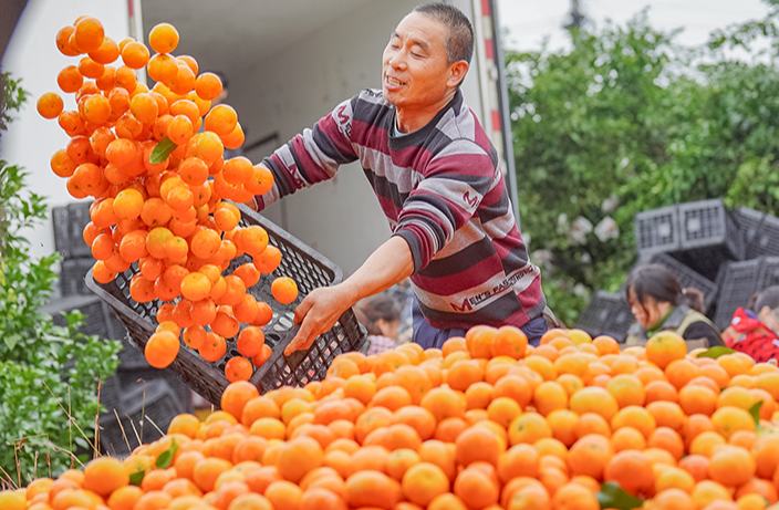 ?????? ???????: ???? ???????? ?????