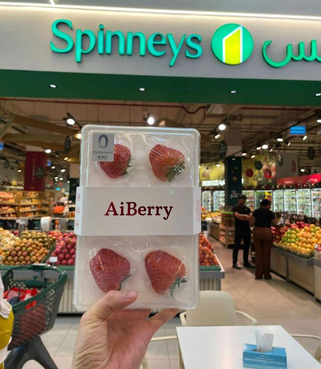 ?????? ??????? ???????? ??? ???? ????? ????????