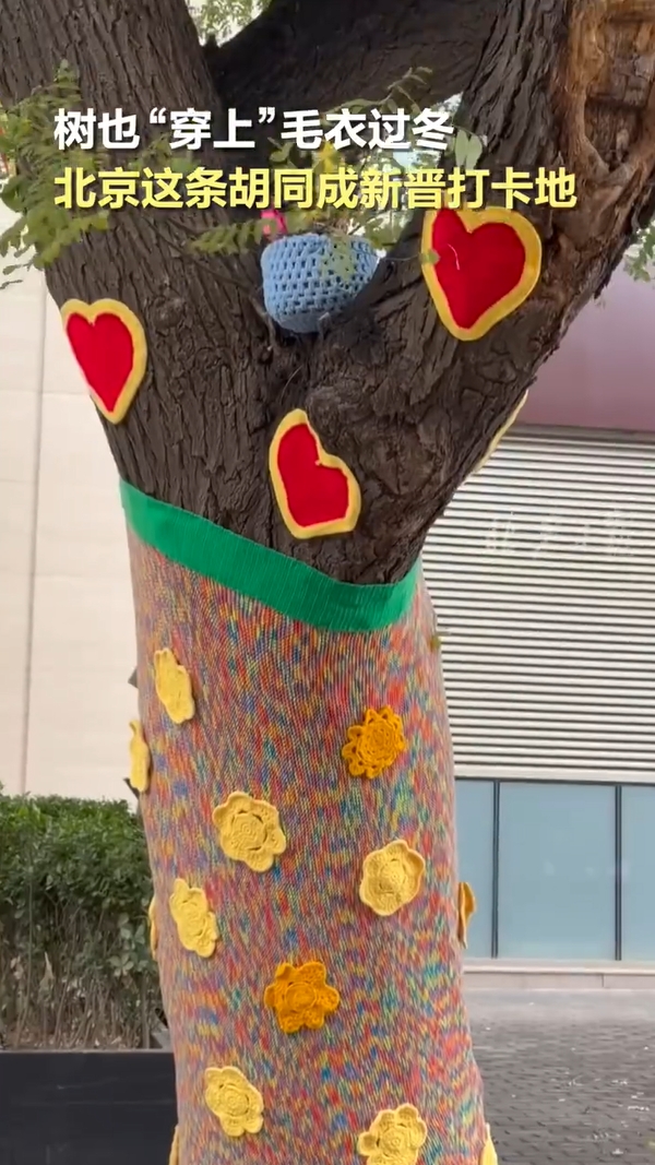 ????? ???? ?????? ???????? ??????? ??????? ??? ??????