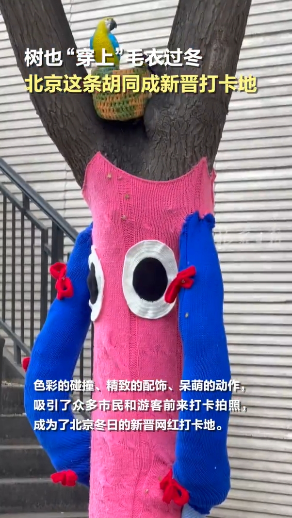 ????? ???? ?????? ???????? ??????? ??????? ??? ??????