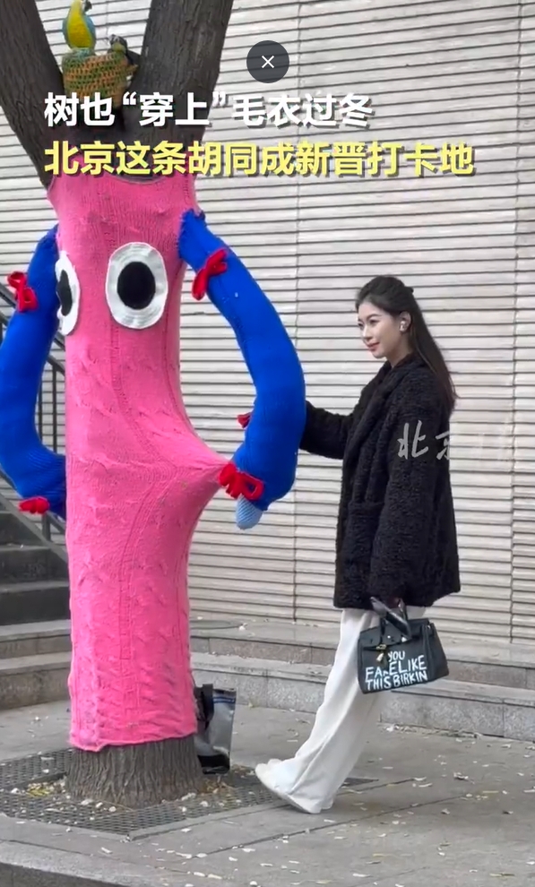 ????? ???? ?????? ???????? ??????? ??????? ??? ??????