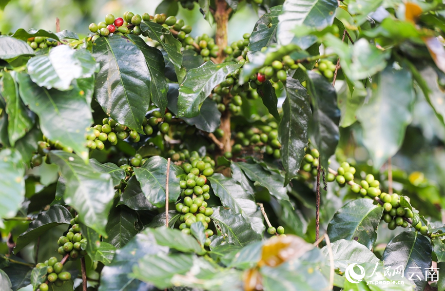 ???? ???? ??????? ?? ??????? ???? ???? ?????? ??? ????? ???? ????????