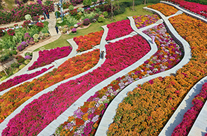 ???? ?? 500 ??? ?? ???? ???????? ????? ?? ????? ??????