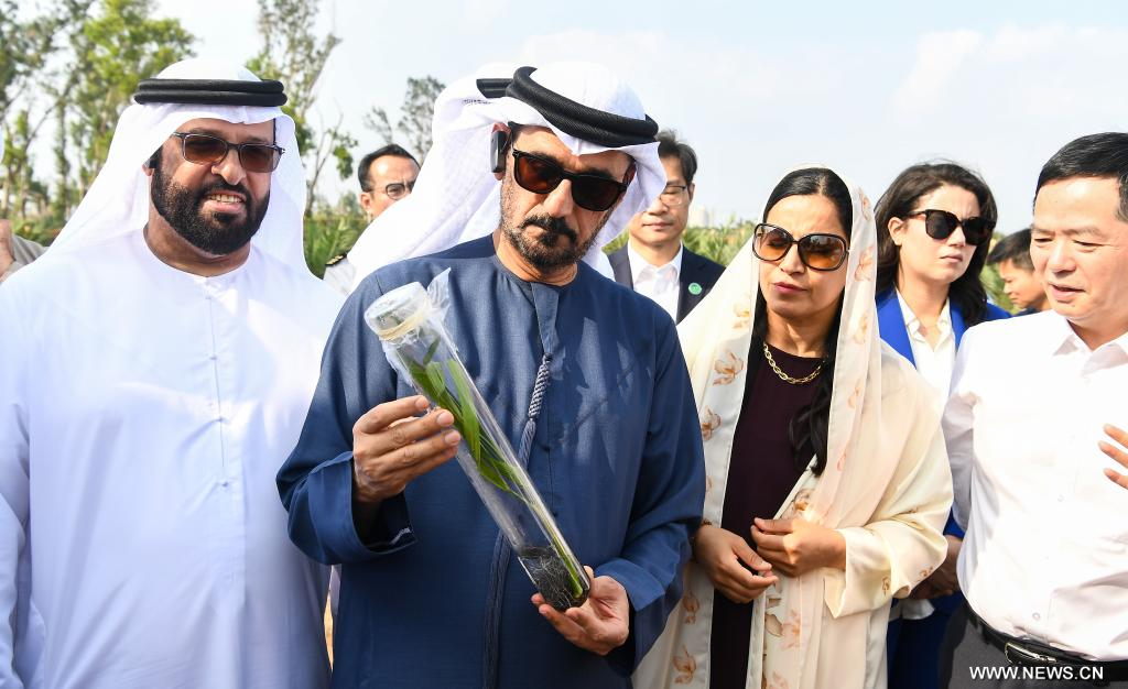 ????? ????? ???? ????? ?? ?????? ?????? ??????? ????? ????? ?????