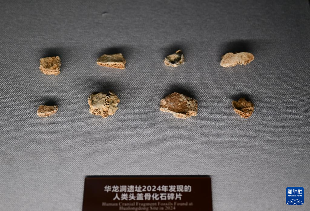 ????? ?????? ??????? ???? ???? ?? ????? ??????? ?????? ?? ???? ??? ???????