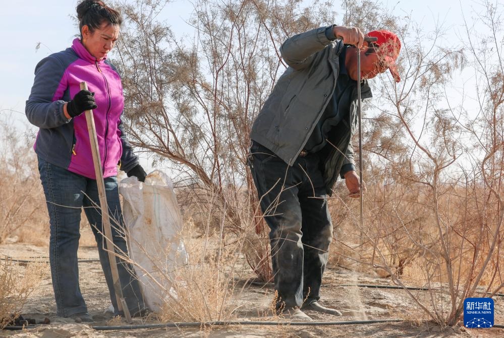 ??????? ????? ?? ???????? ???? ???? ????? ?? ?????? ??????