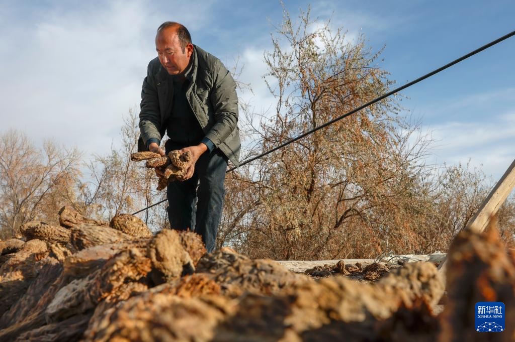 ??????? ????? ?? ???????? ???? ???? ????? ?? ?????? ??????