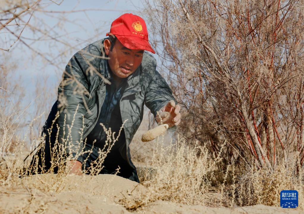 ??????? ????? ?? ???????? ???? ???? ????? ?? ?????? ??????