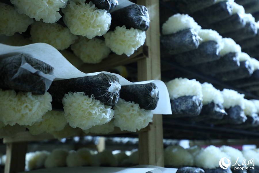 ?????? ????? ???????? ?? ????? ?????