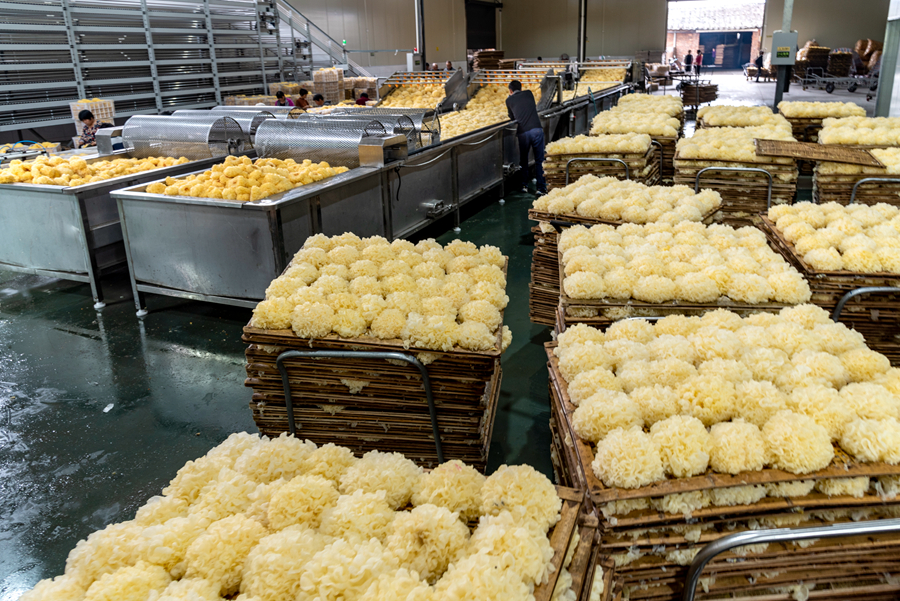 ???? ?????? ??? ????? ?? ??????