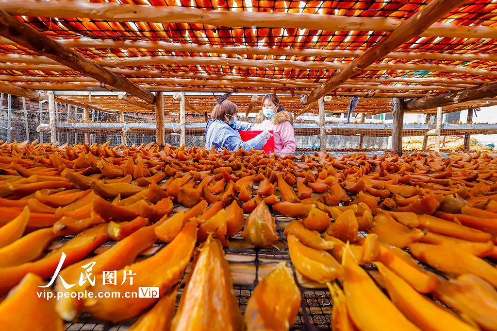 ??????? ???: ?????? ??????? ?????? ??????? ???????? ???? ?? ????? ??????