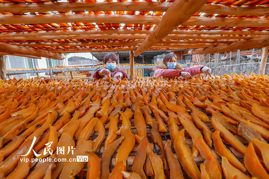 ??????? ???: ?????? ??????? ?????? ??????? ???????? ???? ?? ????? ??????