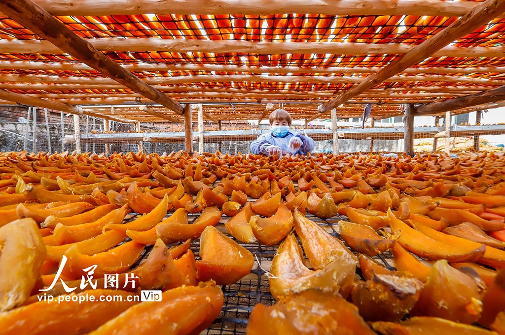 ??????? ???: ?????? ??????? ?????? ??????? ???????? ???? ?? ????? ??????