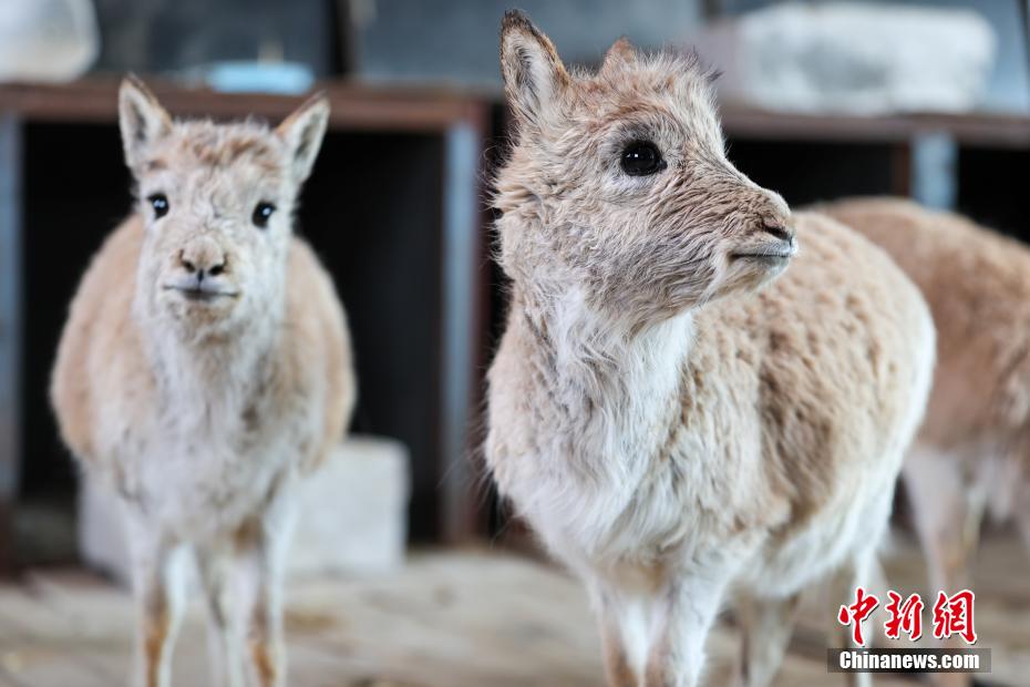 ????? ??? ??? ????????? ???? ?????? ???????