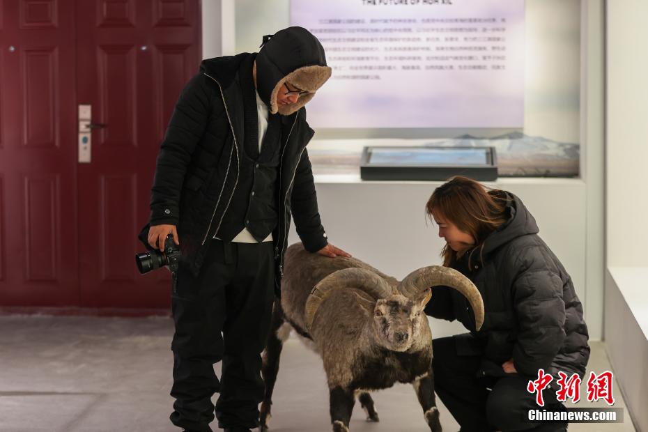 ????? ??? ??? ????????? ???? ?????? ???????