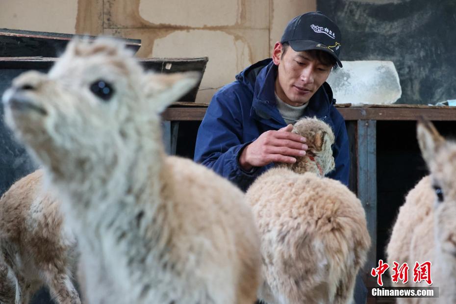 ????? ??? ??? ????????? ???? ?????? ???????