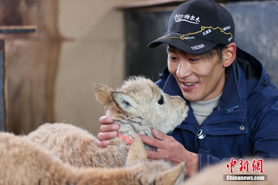 ????? ??? ??? ????????? ???? ?????? ???????