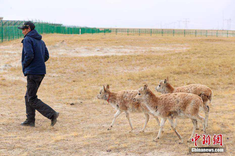 ????? ??? ??? ????????? ???? ?????? ??????? 