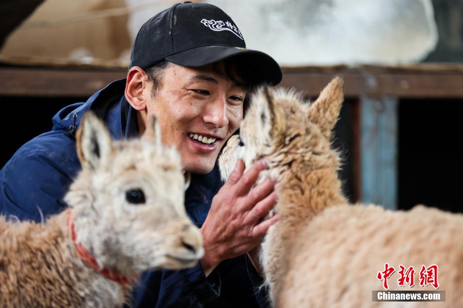 ????? ??? ??? ????????? ???? ?????? ???????