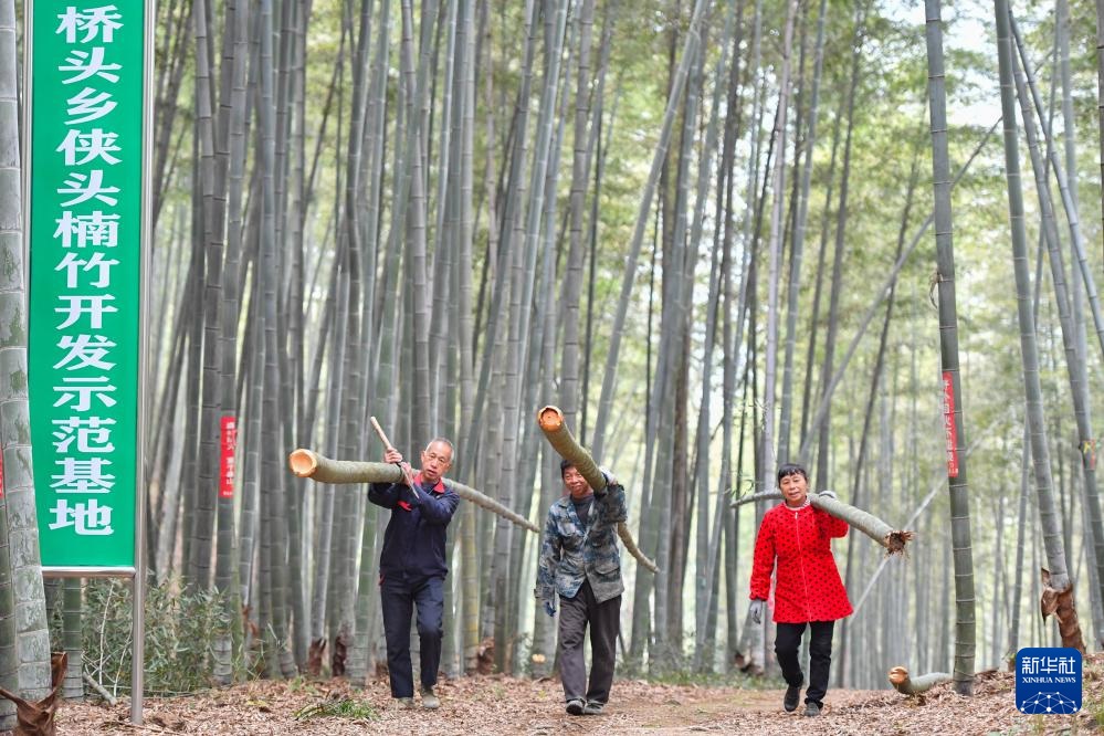 ????? ???? ??? ??????? ????????? ?????????