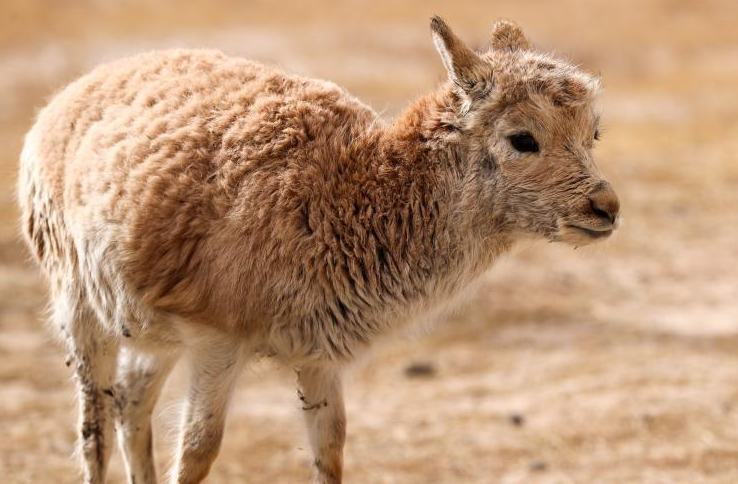 ????? ??? ??? ????????? ???? ?????? ??????? "???? ??????"