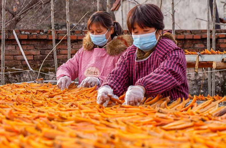 ??????? ???: ?????? ??????? ?????? ??????? ???????? ???? ?? ????? ??????