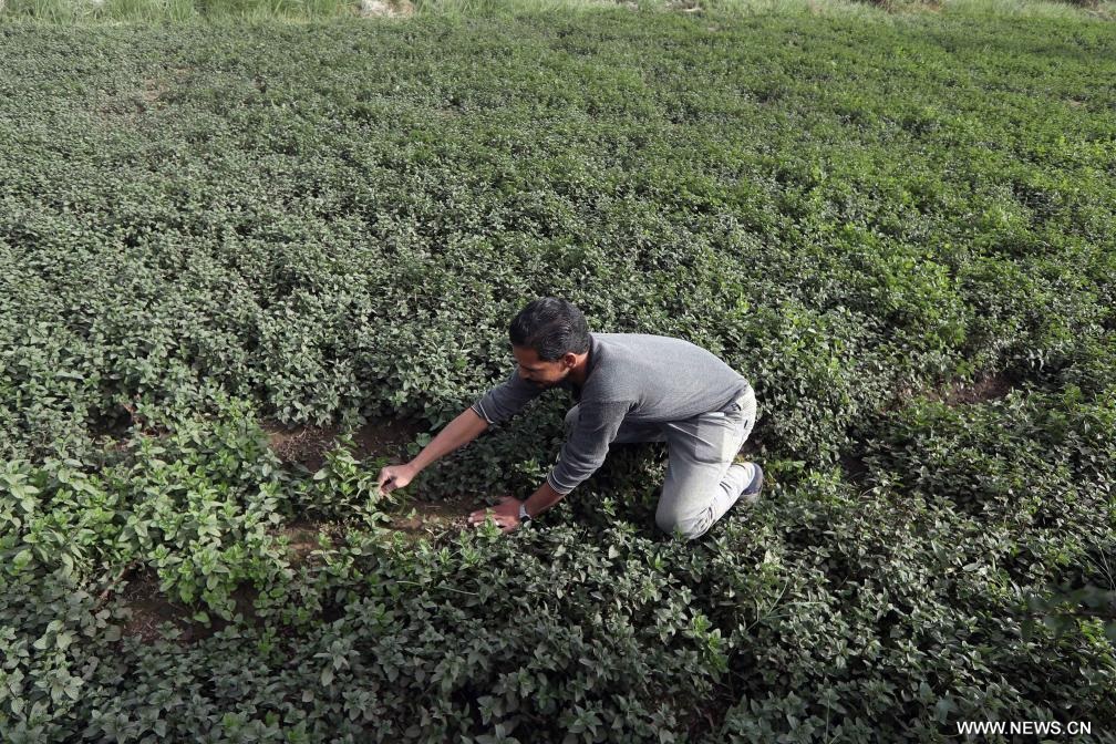 ????? : ?????? ????? ??????? ?????? ?? ??? ????? ????? ????? ?????