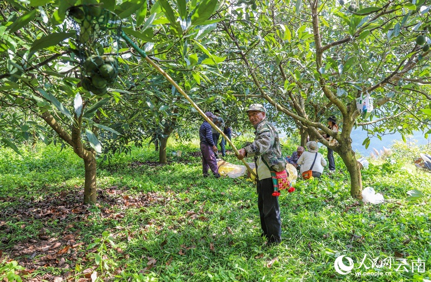 ??????? ???? 80% ?? ????????? ?? ?????