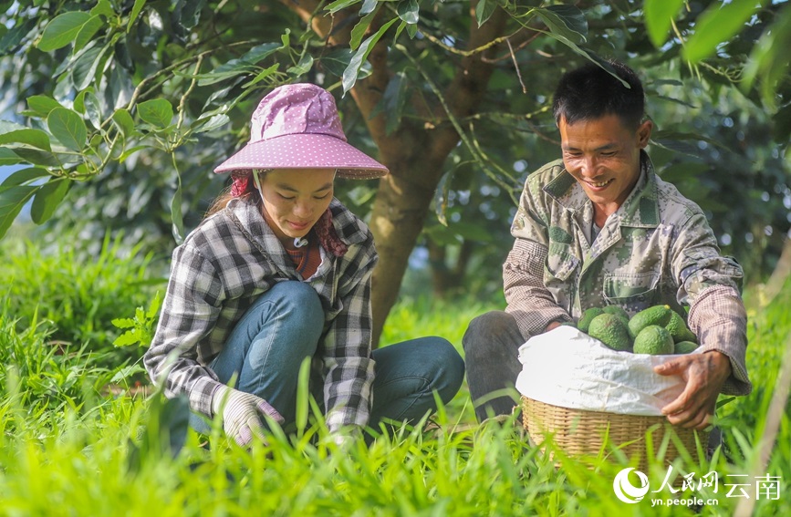 ??????? ???? 80% ?? ????????? ?? ?????