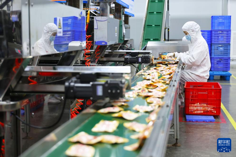 ???? ?? ????????? ???? ????? ?????? ?????????