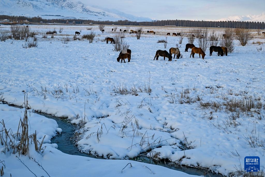 ?????? ?????? ?? ?????? ???????? ???????