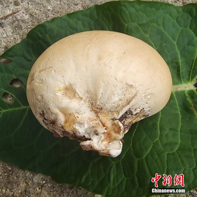 ?????? ?? ???? ??????? ???? ???? ?????