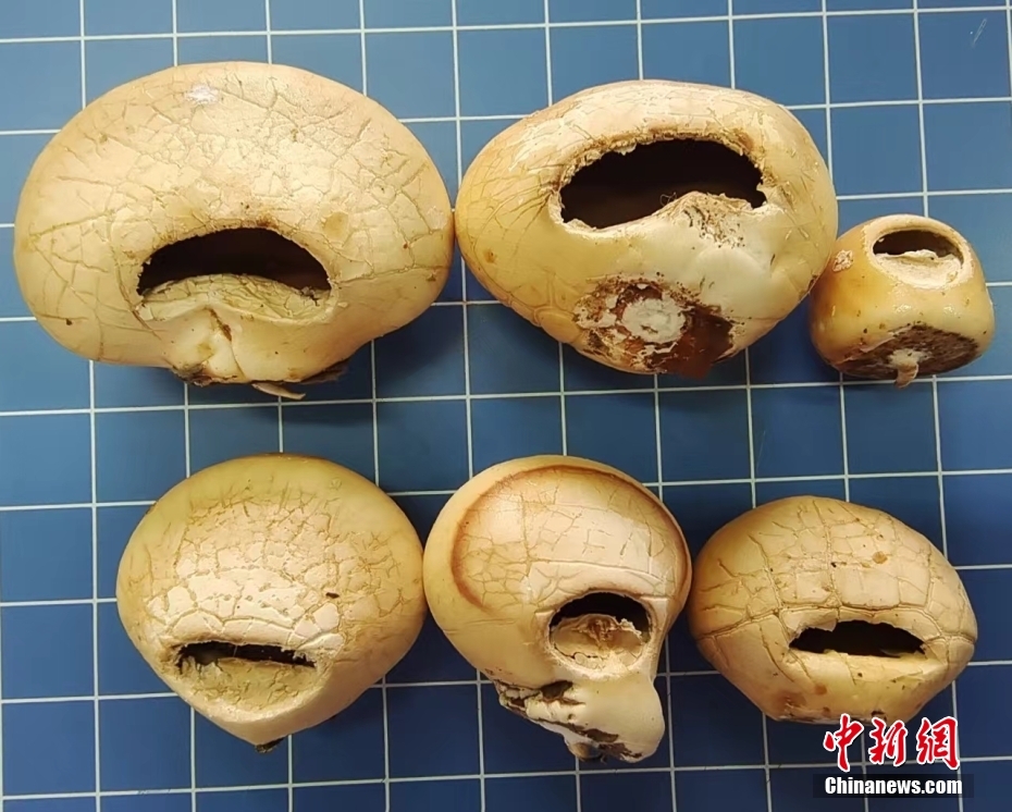 ?????? ?? ???? ??????? ???? ???? ?????