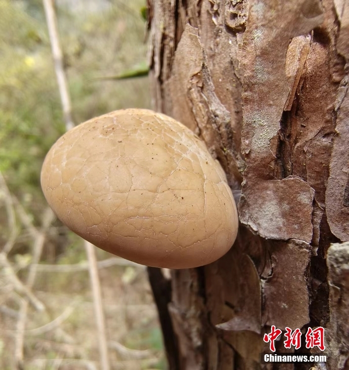 ?????? ?? ???? ??????? ???? ???? ?????